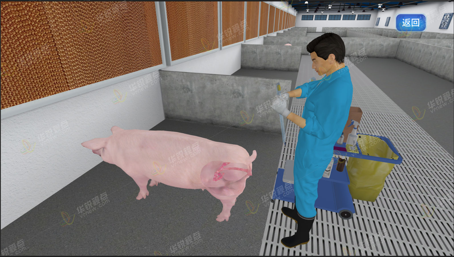 猪养殖米乐m6
虚拟仿真实训软件