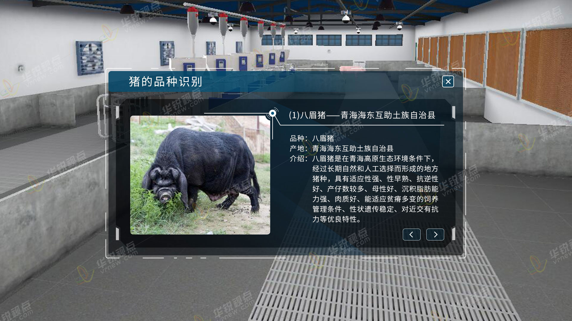 猪养殖米乐m6
虚拟仿真实训软件